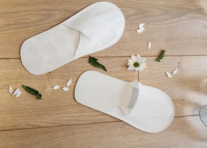 Hotel Vila Verde Gjika Hotel 4*