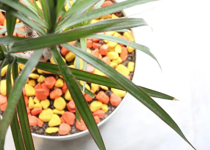 Hotel Vila Verde Gjika